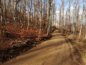 PP Kremenk - Zavinka 2